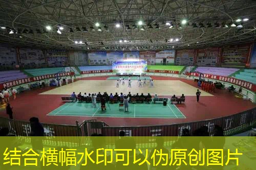 艺术进化3d游戏攻略