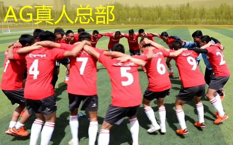 开放式3d手游游戏怎么玩