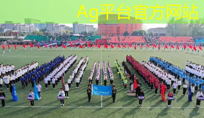 大佬都在玩的3d游戏叫什么