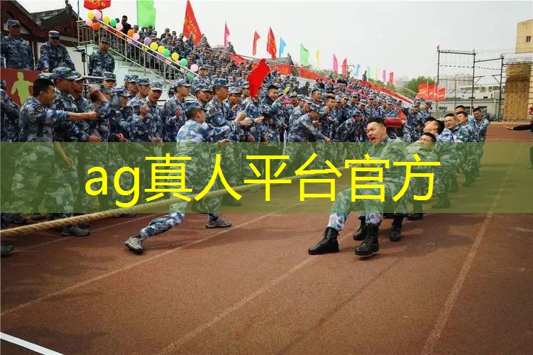 叠被子小程序有哪些游戏