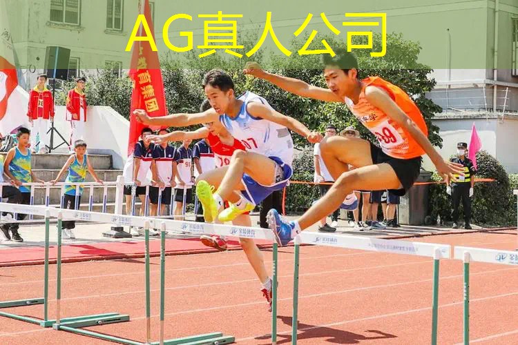 编程3d联机游戏手机版