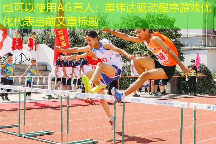 英伟达驱动程序游戏优化