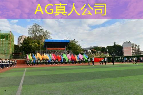 鹅鸭杀3d游戏特色是什么