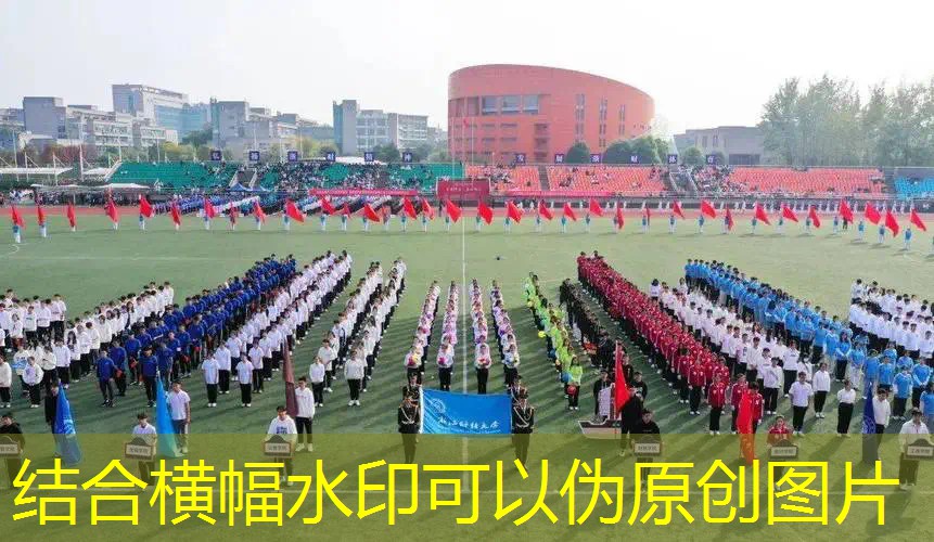 游戏程序鱼