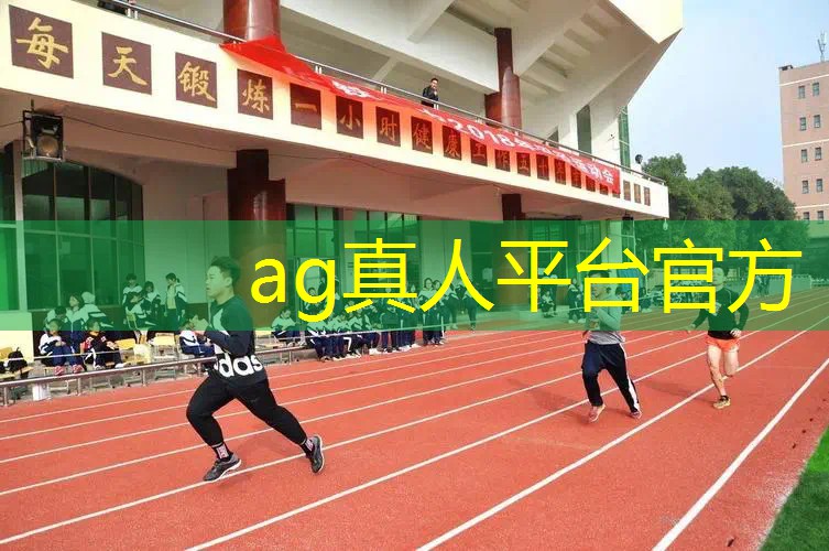 龙珠3d格斗光碟游戏