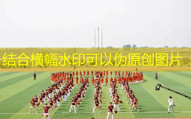3d电子宠物机互动游戏