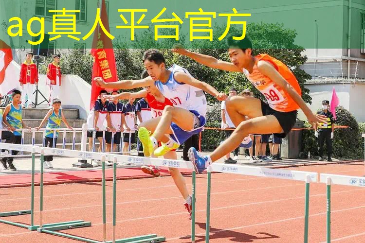 简单的3d电脑游戏有哪些