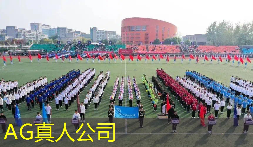 迷你游戏解说3D