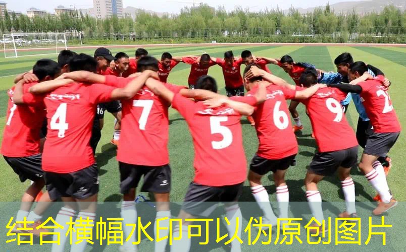 找猫游戏入口小程序