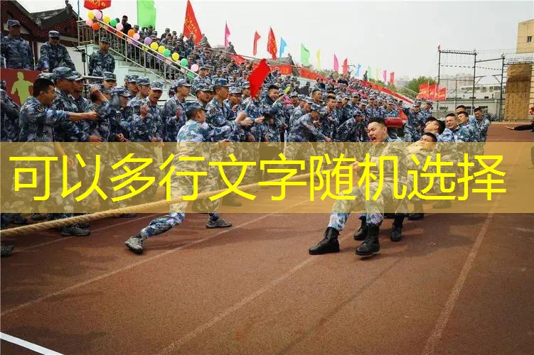 汽车对抗组装游戏3d