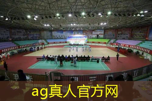台球3d怎么联机游戏的