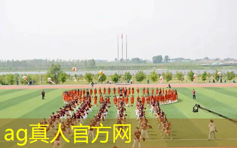 青年电竞大赛：哪些电竞项目最适合新手参与？