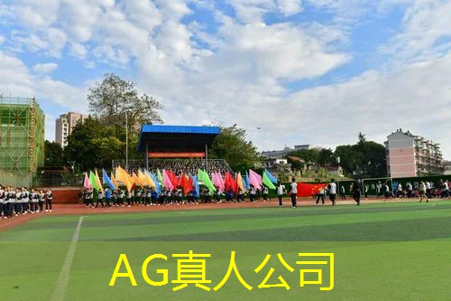 英雄联盟狐狸原画游戏