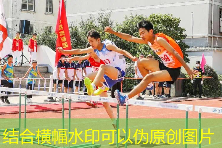 高子有多3d动漫游戏