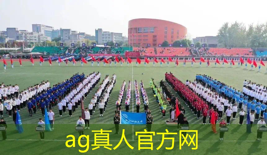 国外3D格斗游戏大全