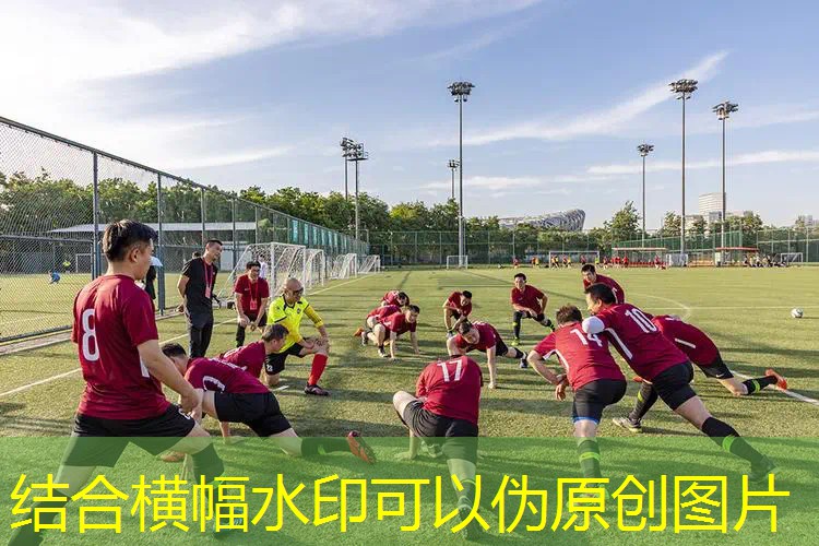 少儿骑着龙飞来飞去的3d游戏