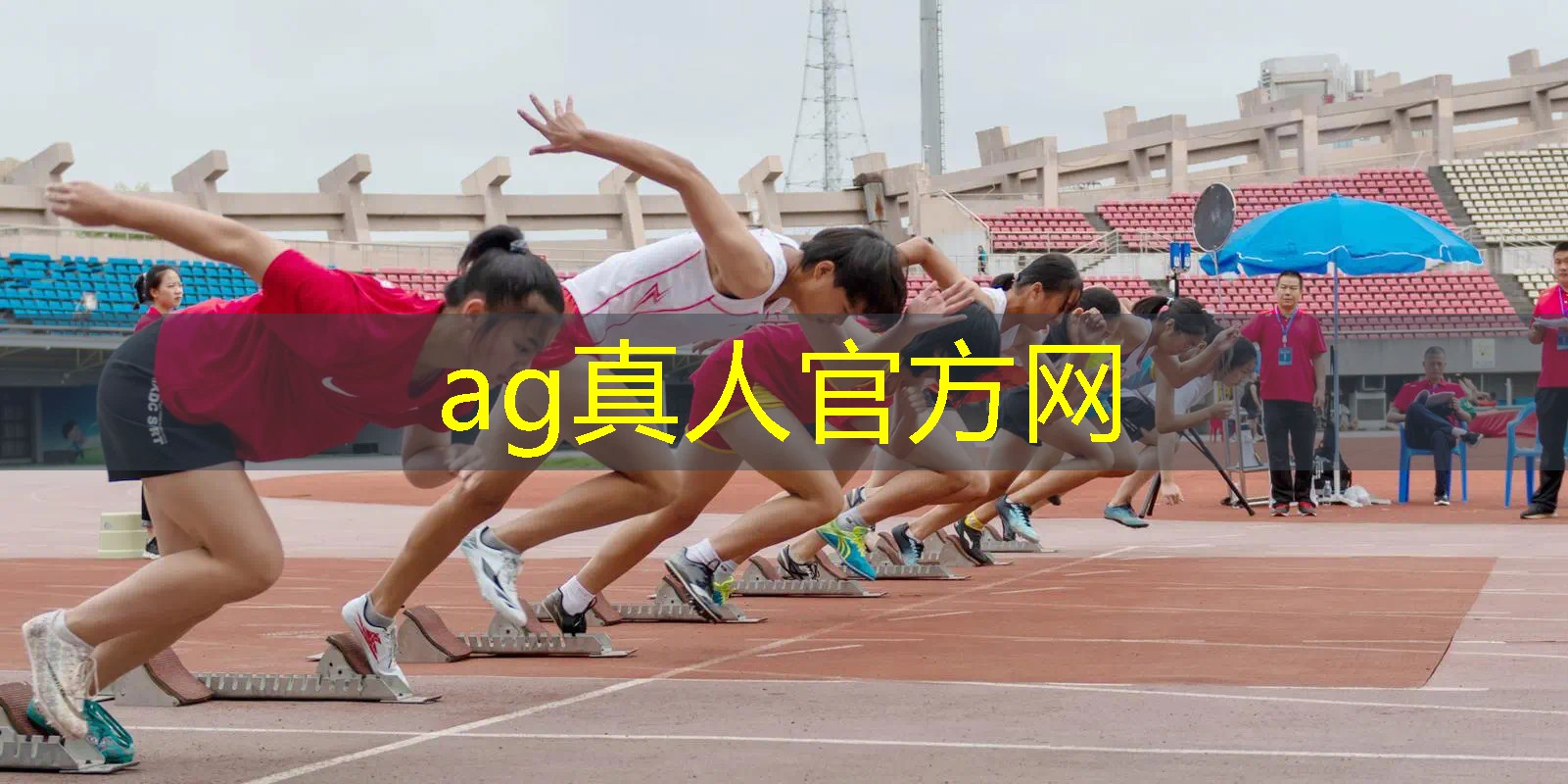 3d美少女格斗游戏高清