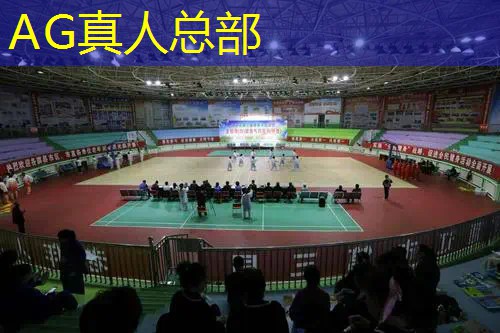 一个3d策略游戏的游戏