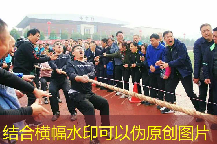 出原画吧唧排球的游戏叫什么